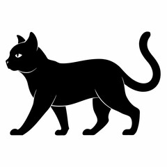 a black cat vector