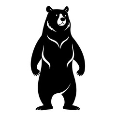 black bear vector