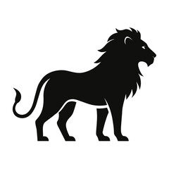 lion vector illustration