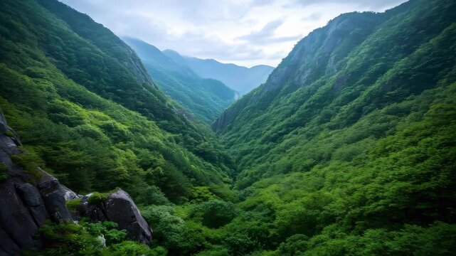 A lush green mountain valley with steep, forested cliffs on both sides and distant blue ridges under a cloudy sky.