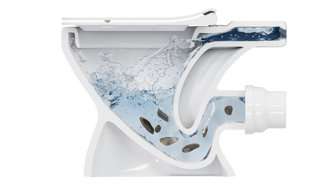 Sanitary ceramic toilet bowl with visible human excrement inside. Cross section view, isolated on a transparent background. 3D illustration.