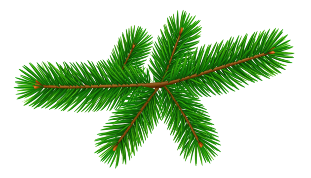 Green pine branch illustration