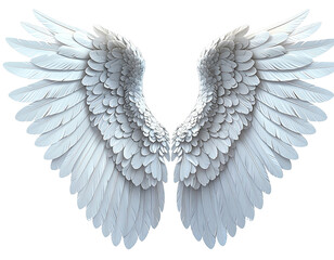 Obraz premium Pair of symmetrical white angel wings (3)