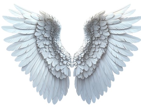 Pair of symmetrical white angel wings (3)