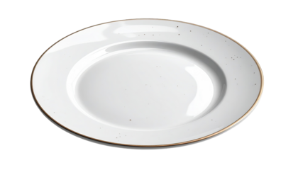 A round, white dinner plate with a subtle speckled texture and a gold-toned rim