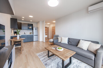 Modern Open Plan Living Room and Kitchen with Contemporary Interior Design