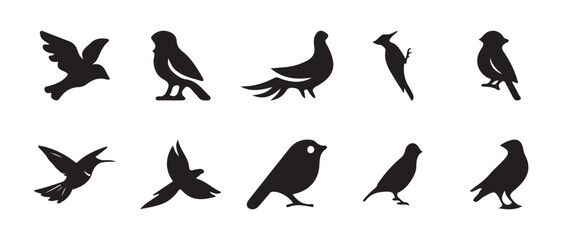 Silhouette set of various bird, flying birds, detailed bird shapes, black and white, vector graphics, silhouette set flying and standing birds vector icon, vector illustration EPS 10.