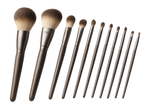 Set of makeup brushes arranged neatly.