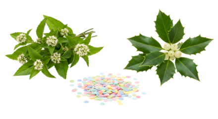 Fresh green leaves and white berries with colorful round confetti on white background, perfect for nature or festive design projects