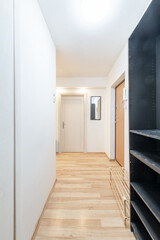 Modern Hallway Interior with Wooden Flooring and White Walls