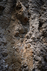 Natural Outdoor Soil And Dirt Ground In Environmental Setting