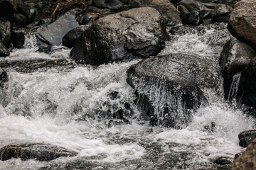 A dynamic close-up of foamy water rushing over dark rocks in a rocky stream. Natural outdoors scene...