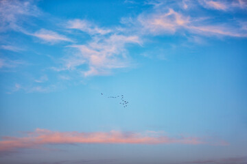 Soft Dreamy Clouds Floating In Open Blue Sky