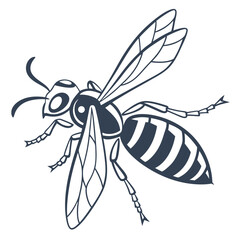 Vector illustration of an isolated macro insect, a mosquito pest with black and yellow wings on a white background