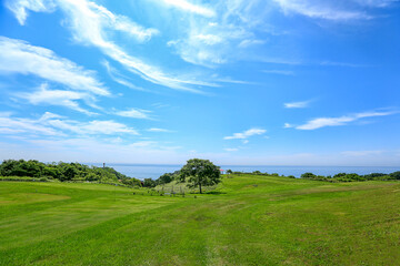Green Grassland On Island Under Blue Sky And White Clouds