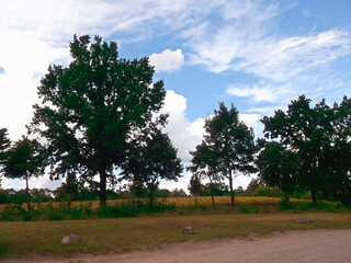 Wolkenformationen im Sommer am Himmel
