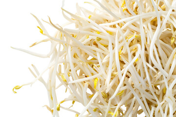 Fresh bean sprouts macro with vivid white and yellow detail isolated on transparent background