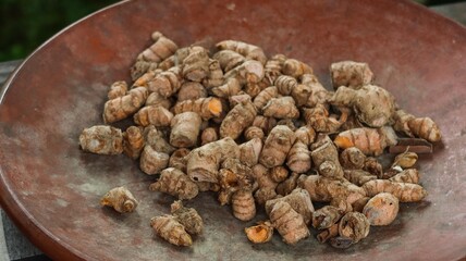 close up of a pile of fresh turmeric rhizomes in a rustic terracotta bowl for making powder as a healthy food, especially for woman