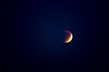 Blood moon over silhouetted trees. Rare celestial event crimson moon casting an ominous glow on the night sky a powerful omen.