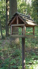 Wooden Bird Feeder in Forest