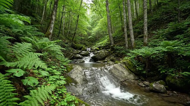 Serene Waterfall in Lush Forest - A small waterfall cascades over moss-covered rocks in a tranquil forest setting.