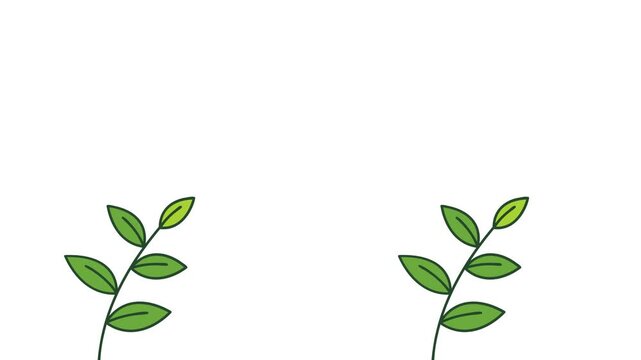 A simple leaves animation on white background