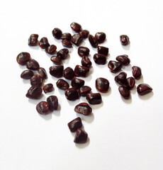 tamarind seeds ready to plant

