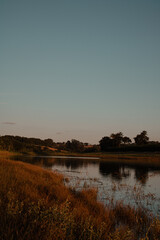 Scenic Golden Hour View of Lake and Grassy Shoreline
