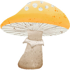 Hand Drawn Yellow Mushroom Illustration