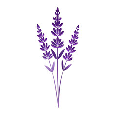 Naklejka premium Stylized illustration of lavender sprigs against a solid black background