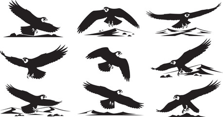 Majestic eagle silhouette set in flight, perched and landing poses, perfect for wildlife, nature, predator, and freedom-themed vector designs.