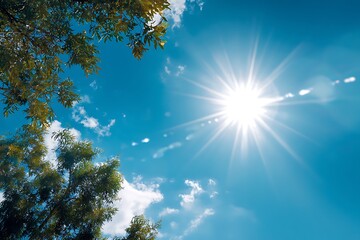 Obraz premium Embrace the sun shining through lush trees with vibrant blue skies, perfect for summer vibes and nature escapes to inspire your audience today