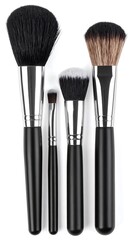 Makeup brushes in a set