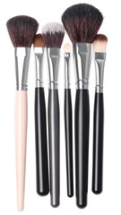 Makeup brushes in a variety of sizes and colors