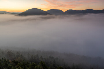Neblige Täler im Pfälzerwald vom Nesselberg in Lug mit Geiersteinen im goldenen Morgenlicht