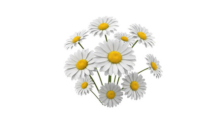 A bouquet of daisies isolated on transparent background