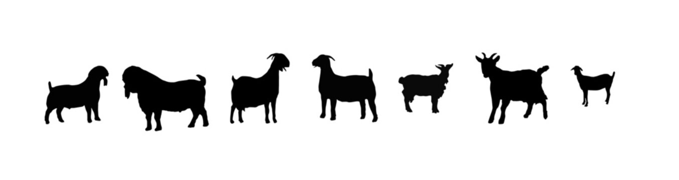 Simple black silhouettes of various-sized goats in a horizontal row against a plain white background.