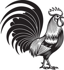 Detailed black and white silhouette of a proud rooster with a large fanned tail chicken