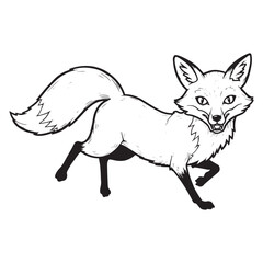Black and White Fox Running with Open Mouth animal