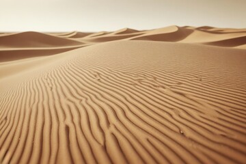 Sanfte Sanddünen in der Wüste, goldene Texturen im Sonnenlicht