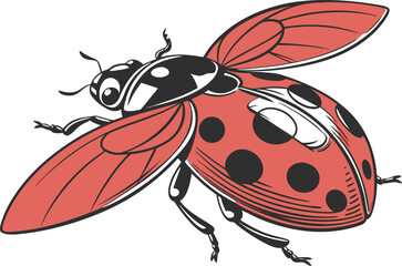 Cute Ladybug Illustration Artwork. Red Ladybug Cartoon Clipart. Realistic Ladybug Insect Illustration. Flying Ladybug Creative Artwork. Detailed Ladybug Nature Illustration. Colorful Ladybug Clipart