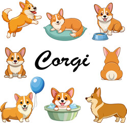 Collection of funny corgis.Color vector illustration with corgi dogs in different poses on a white background.