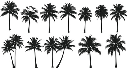 Palm tree silhouettes, tropical trees, black illustration, nature design, exotic plants, vector graphic, white background, diverse shapes, isolated elements, botanical art