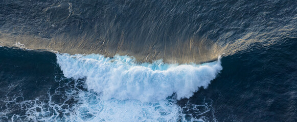 Big ocean wave breaking on the beach at sunset. White seagull soaring over the wave. Atlantic ocean...