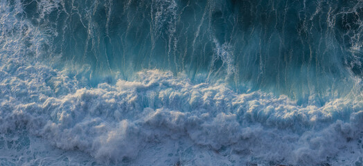 Big ocean wave breaking on the beach at sunset. White seagull soaring over the wave. Atlantic ocean...