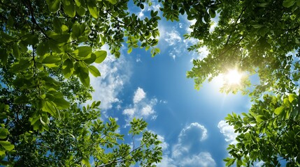 a vibrant view looking up through lush green leaves toward a bright sunlit sky with scattered clouds.