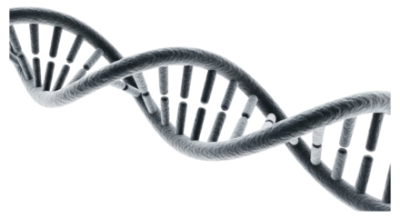 Intricate DNA Double Helix Structure Isolated on Transparent PNG Background.