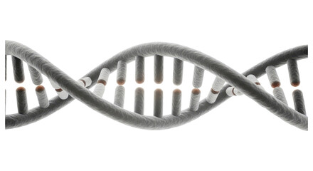 Naklejka premium A DNA Helix Isolated on Transparent PNG Background.