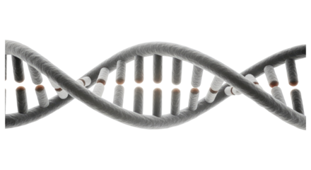 A DNA Helix Isolated on Transparent PNG Background.