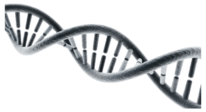 Intricate DNA Double Helix Structure Isolated on Transparent PNG Background. - Powered by Adobe